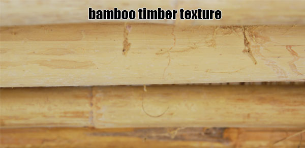the texture of bamboo timber