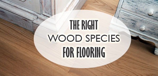 Choosing The Right Wood Species For Your Flooring